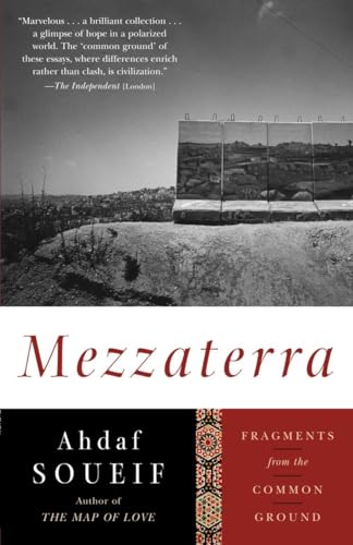 cover image Mezzaterra: Fragments from the Common Ground