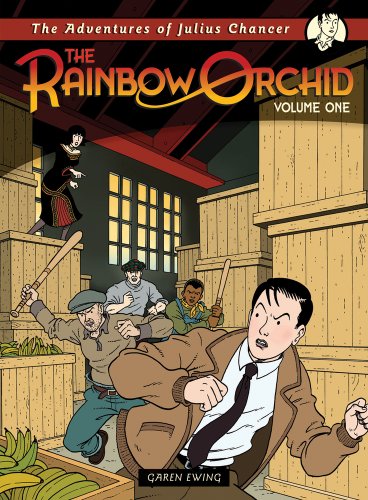 cover image The Rainbow Orchid