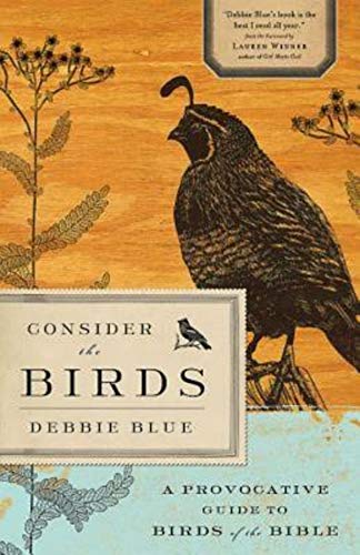 cover image Consider the Birds: A Provocative Guide to Birds of the Bible