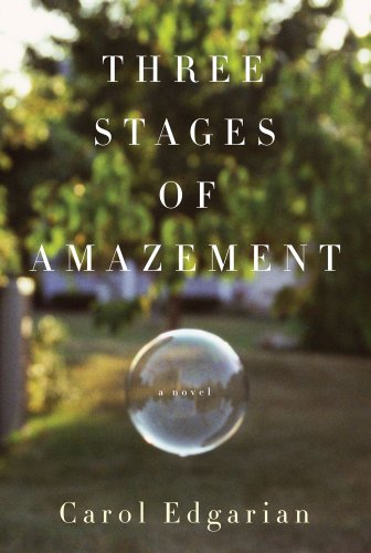 cover image Three Stages of Amazement