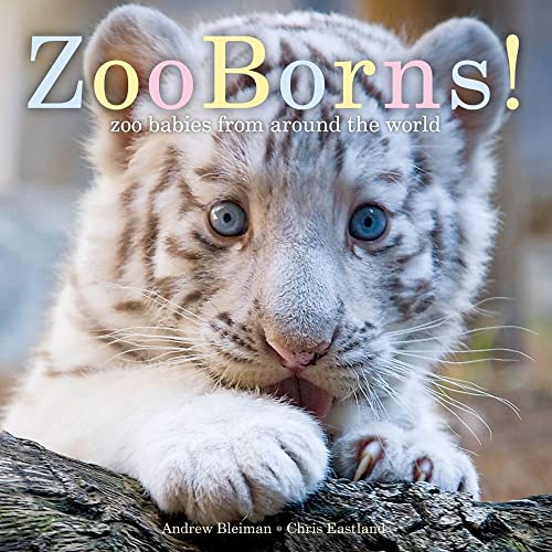 cover image ZooBorns! Zoo Babies from Around the World