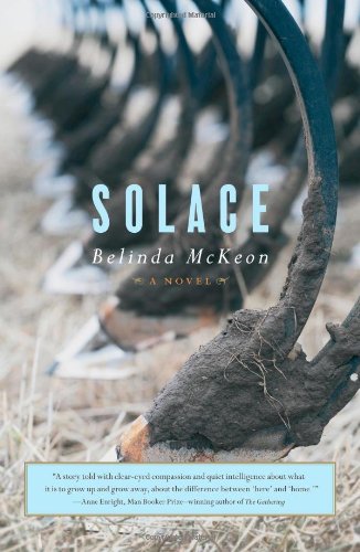 cover image Solace