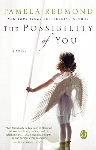 cover image The Possibility of You