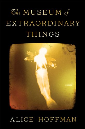 cover image The Museum of Extraordinary Things