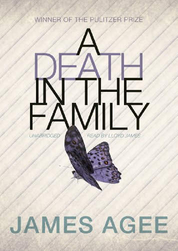 cover image A Death in the Family
