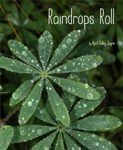 cover image Raindrops Roll