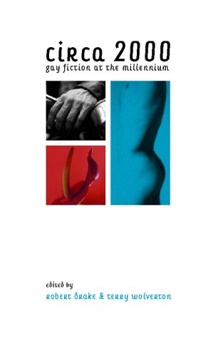 cover image Circa 2000: Gay Fiction at the Millennium