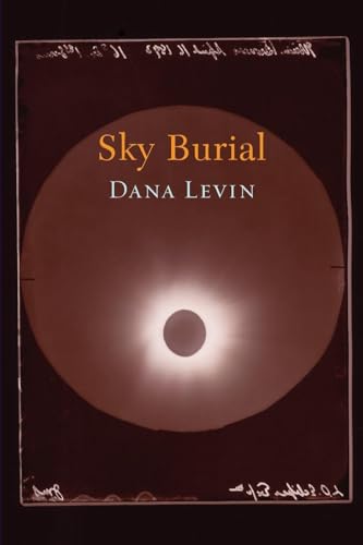 cover image Sky Burial