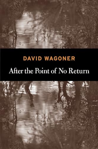 cover image After the Point of No Return