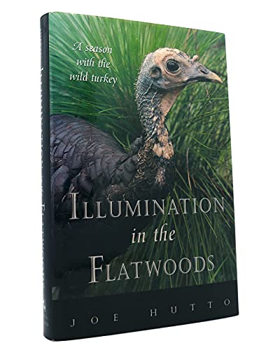 cover image Illumination in the Flatwoods