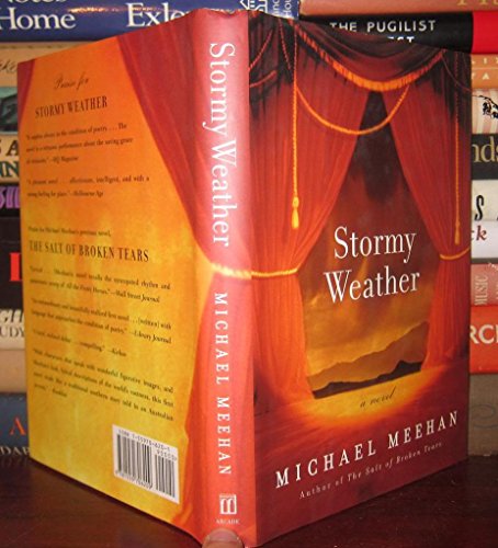 cover image STORMY WEATHER