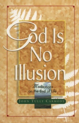 cover image God Is No Illusion