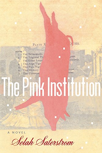 cover image THE PINK INSTITUTION
