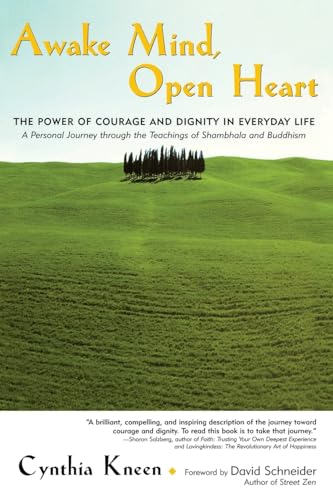 cover image AWAKE MIND, OPEN HEART: The Power of Courage and Dignity in Everyday Life