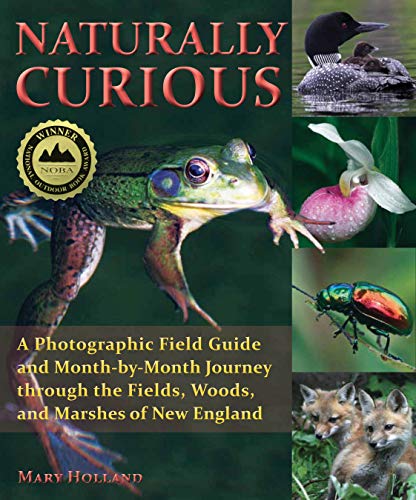 cover image Naturally Curious: A Photographic Field Guide and Month-by-Month Journey through the Fields, Woods, and Marshes of New England