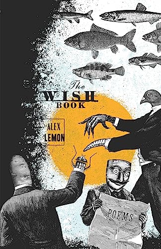 cover image The Wish Book