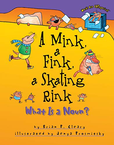 cover image A Mink, a Fink, a Skating Rink: What is a Noun?