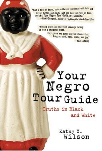 cover image Your Negro Tour Guide: Truths in Black and White