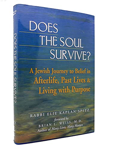 cover image Does the Soul Survive?: A Jewish Journey to Belief in Afterlife, Past Lives, and Living with Purpose