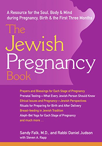 cover image THE JEWISH PREGNANCY BOOK: A Resource for the Soul, Body & Mind During Pregnancy, Birth and the First Three Months