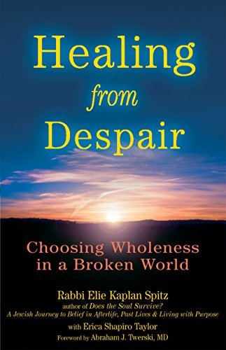 cover image Healing from Despair: Choosing Wholeness in a Broken World