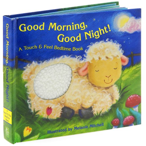 cover image Good Morning, Good Night!: A Touch & Feel Bedtime Book