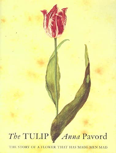 cover image The Tulip: The Story of a Flower That Has Made Men Mad