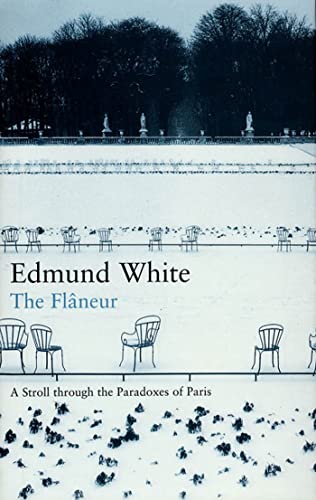 cover image The Flaneur: A Stroll Through the Paradoxes of Paris