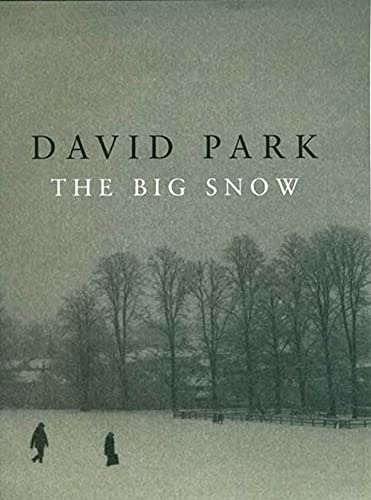 cover image THE BIG SNOW