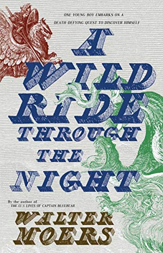 cover image A Wild Ride Through the Night