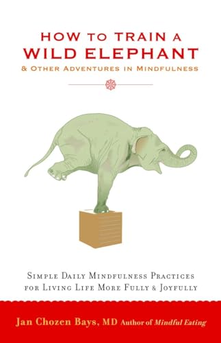 cover image How to Train a Wild Elephant: And Other Adventures in Mindfulness