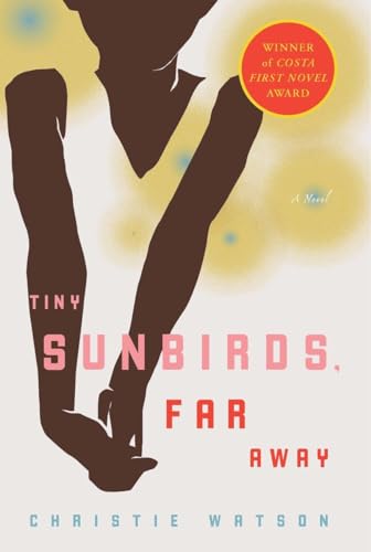 cover image Tiny Sunbirds, Far Away