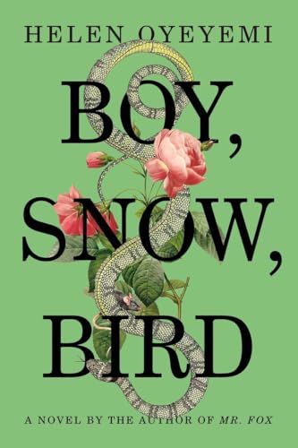 cover image Boy, Snow, Bird