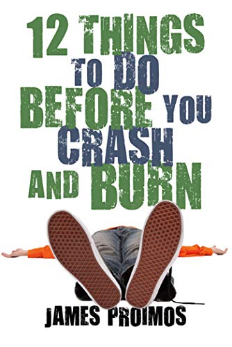 cover image 12 Things to Do Before You Crash and Burn