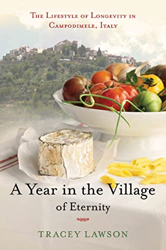 cover image A Year in the Village of Eternity