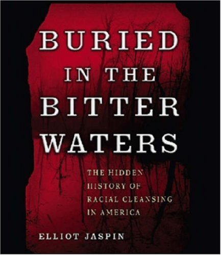 cover image Buried in the Bitter Waters: The Hidden History of Racial Cleansing in America