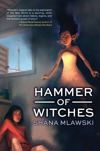 cover image Hammer of Witches