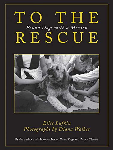 cover image To the Rescue: Found Dogs with a Mission
