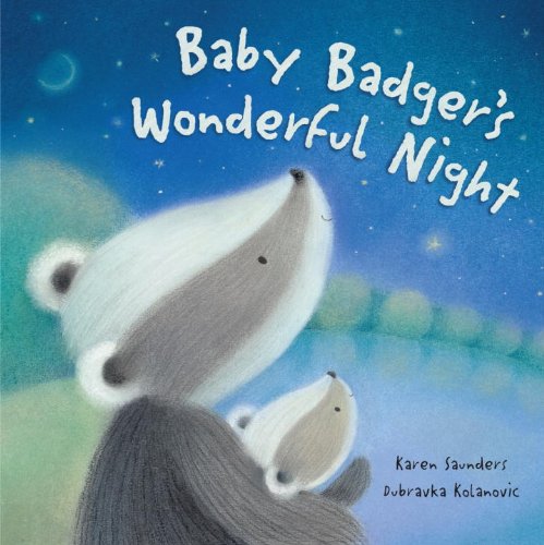 cover image Baby Badger's Wonderful Night