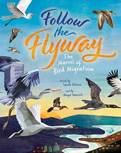 cover image Follow the Flyway: The Marvel of Bird Migration