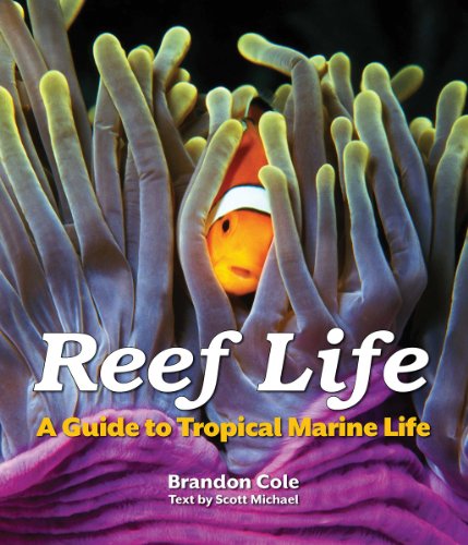 cover image Reef Life: A Guide to Tropical Marine Life