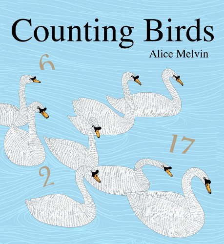 cover image Counting Birds