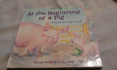 cover image At the Beginning of a Pig: Foldout Flap Book