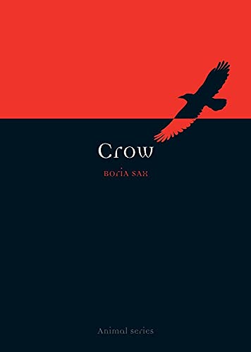 cover image Crow