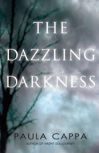 cover image The Dazzling Darkness