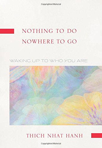 cover image Nothing to Do, Nowhere to Go: Waking Up to Who You Are