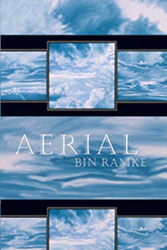 cover image Aerial