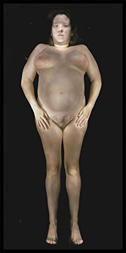 cover image Gary Schneider: Nudes