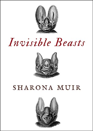 cover image Invisible Beasts