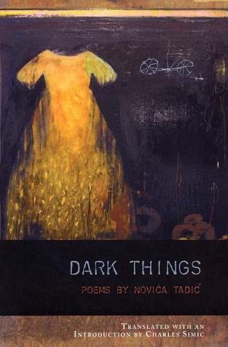 cover image Dark Things